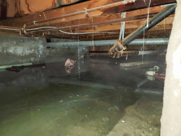 Best Residential water damage restoration  in Vandenberg Village, CA