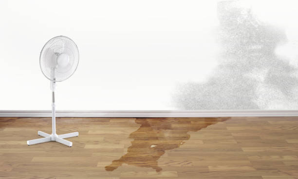 Best Carpet water damage restoration  in Vandenberg Village, CA