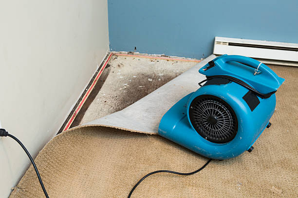  Vandenberg Village, CA Water damage restoration Pros